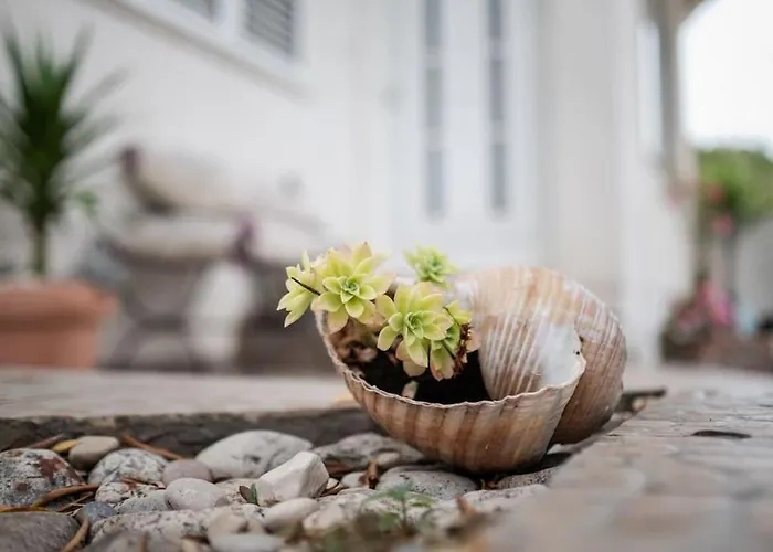 Tino With Two Sunny Terace *